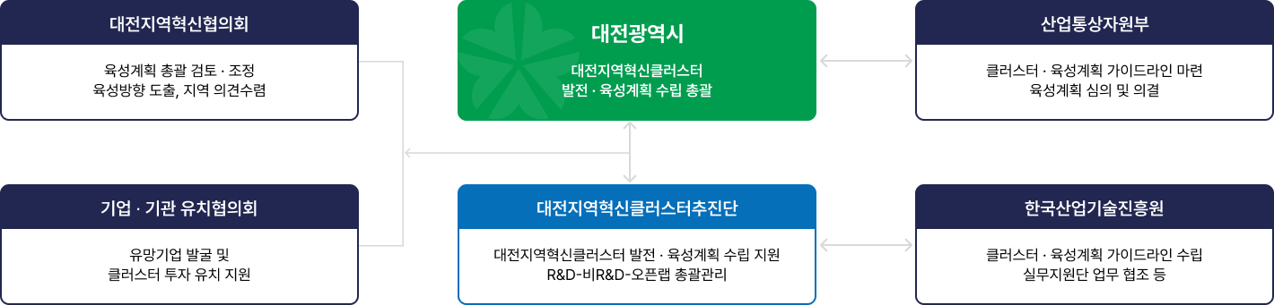 대전지역혁신클러스터의 추진체계는 대전광역시가 발전 및 육성계획 수립을 총괄하며 이를 중심으로 육성계획 총괄 검토 및 조정과 육성방향도출, 지역 의견수렴을 담당하는 대전지역혁신협의회, 유망기업 발굴 및 클러스터 투자 유치 지원을 담당하는 기업 기관 유치협의회, 클러스터 및 육성계획 가이드라인 마련과 육성계획 심의 및 의결을 담당하는 산업통상자원부, 클러스터 및 육성계획 가이드라인 수립과 실무지원단 업무 협조 등을 담당하는 한국산업기술진흥원이 서로 협력관계를 구성하며 최종적으로 대전지역혁신클러스터추진단에서 대전지역혁신클러스터 발전 및 육성계획 수립을 지원하고 R&D와 비R&D, 오픈랩의 총괄관리를 담당합니다.